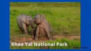 Khao Yai National Park-thailand